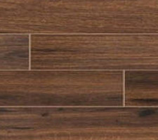 Palmetto-Walnut