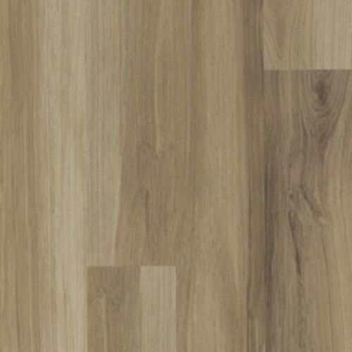 Almond Oak