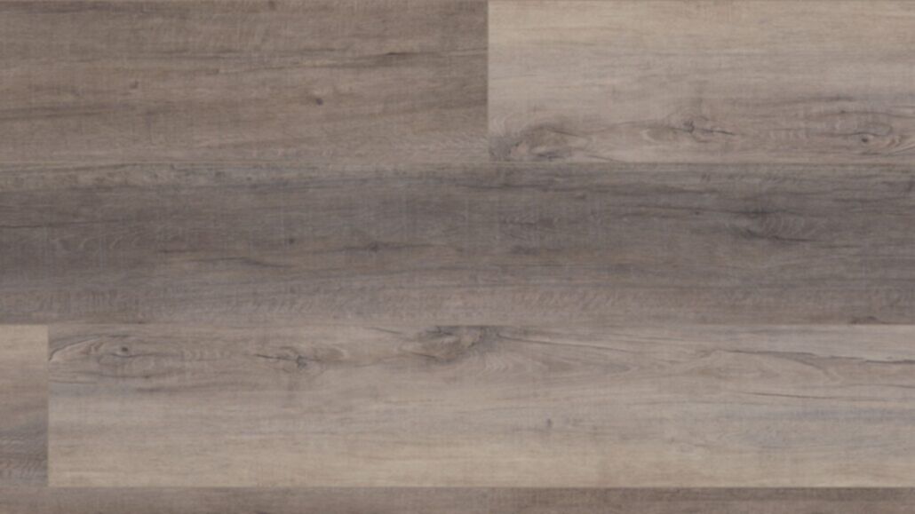 Berkshire Elm