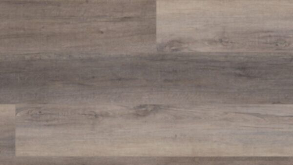Berkshire Elm