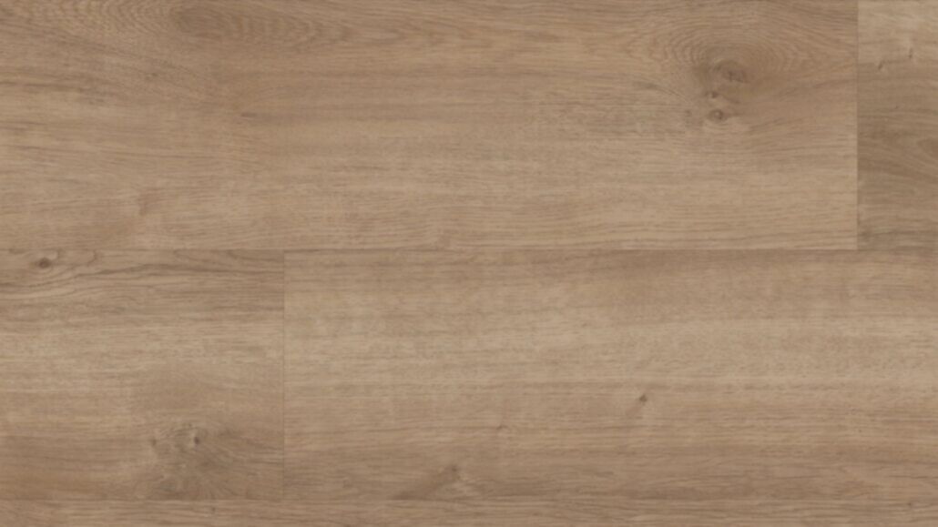 Copano Oak