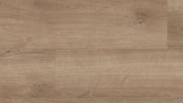Copano Oak