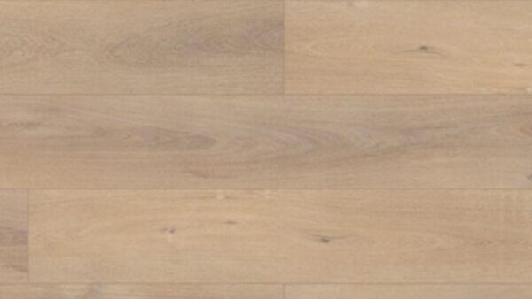 Ravenswood Oak Pro Plus HD 9"