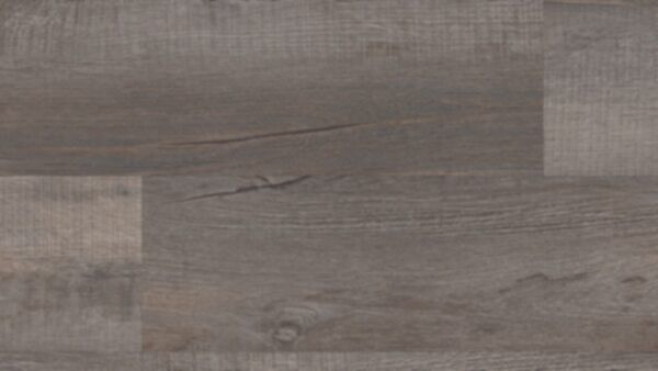 chesapeake oak
