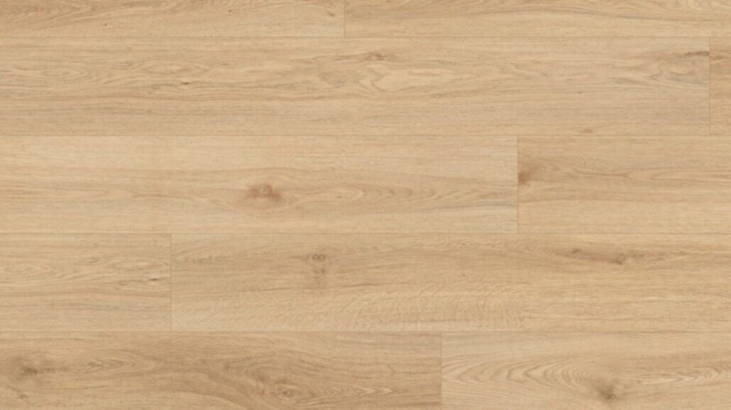 springfield oak
