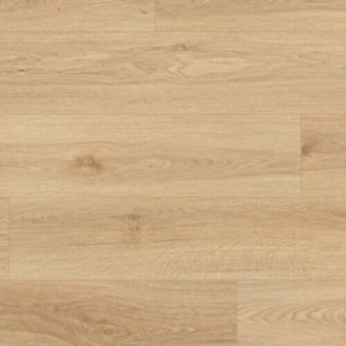 springfield oak
