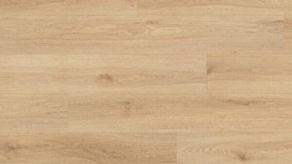 springfield oak