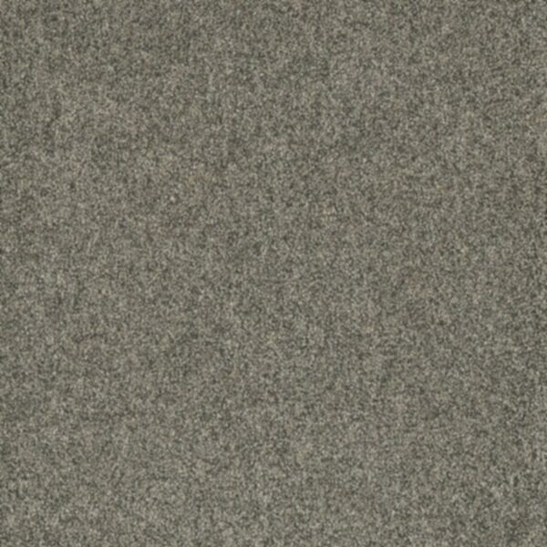 Engineered Floors: Dream Weaver 2565 - Astounding III