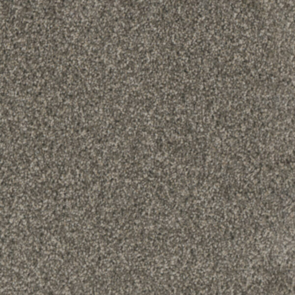 Engineered Floors: Dream Weaver 3655 - Trend Setter II