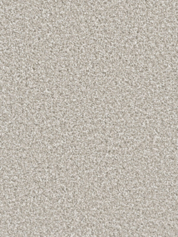 Engineered Floors: Dream Weaver 4748 - Cant Miss