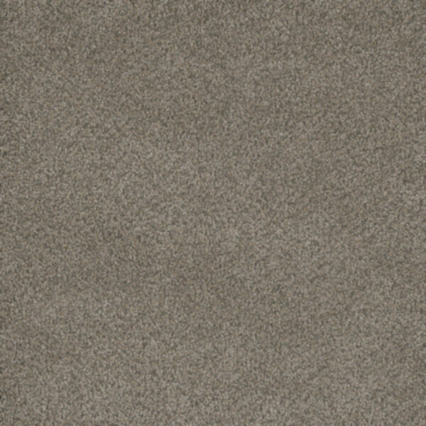 Engineered Floors: Dream Weaver 6200 - Monte Carlo I