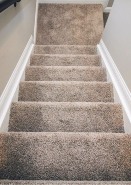 Carpet