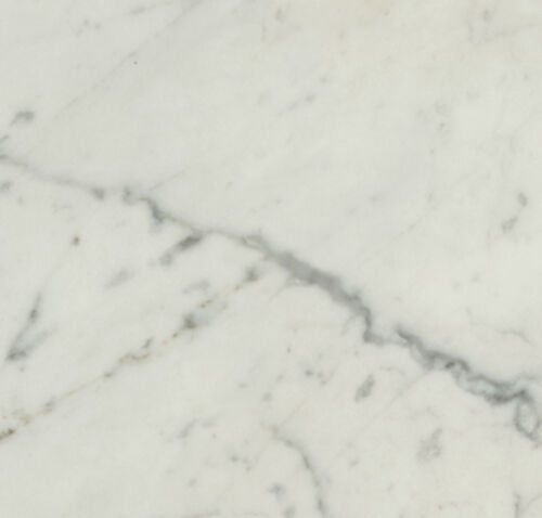 Blanco Carrara Classic 12x24
