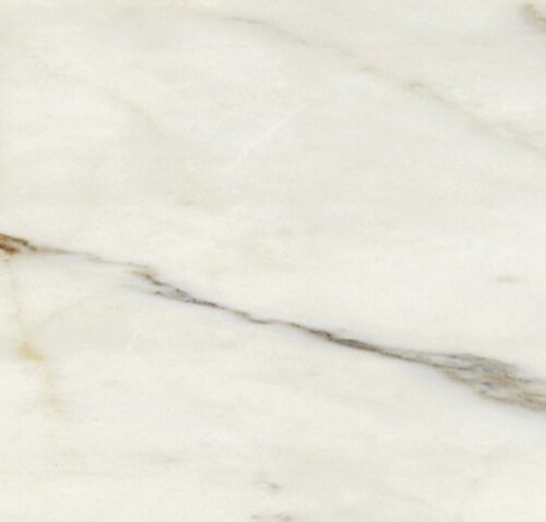 Calacatta Oro Classic 12x24