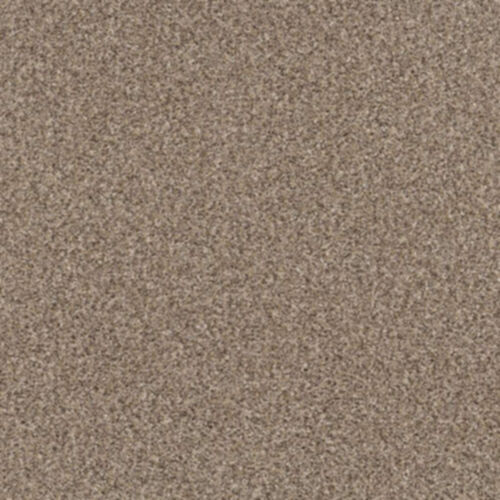 Pet Perfect Yes You Can I 5E568