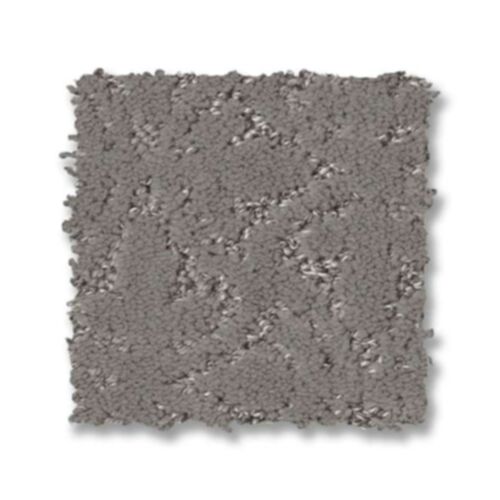 Pet Perfect+ Light Impression 5E584