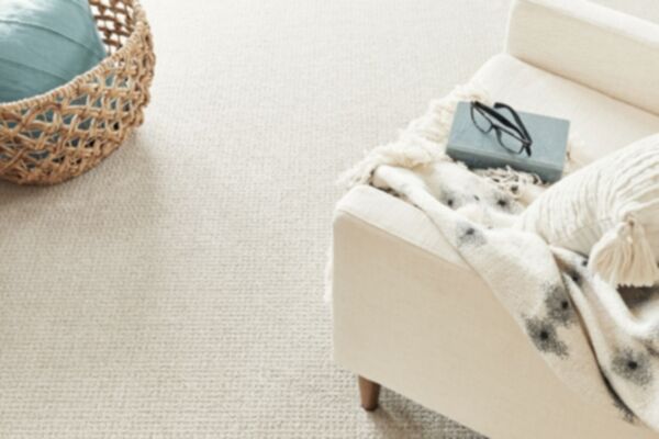 Pet Perfect Posh Life 5E566