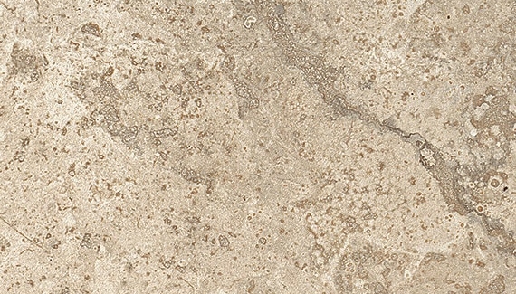 Cavatina - CV06 Encore 12x24