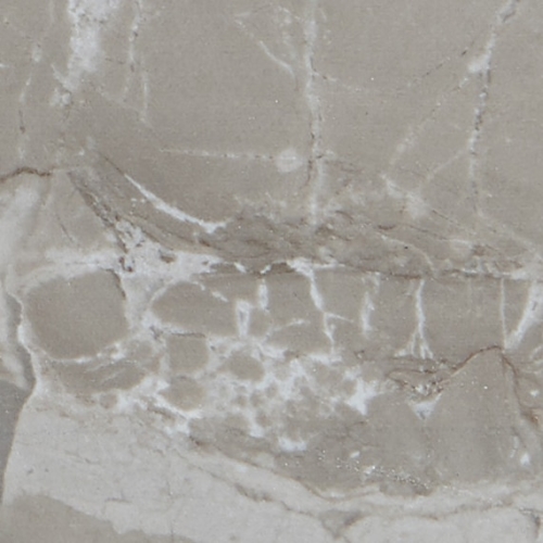 Famed - Fortune FM14 Matte 12x24