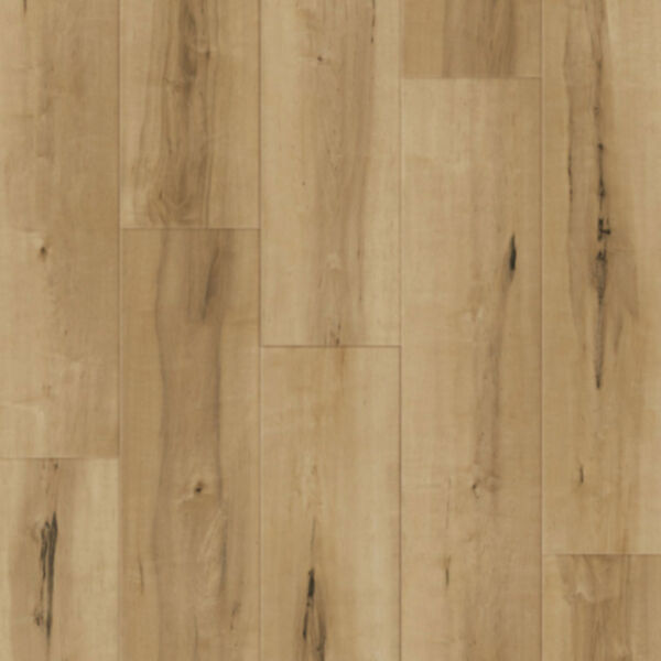 Hickory #1 LVP