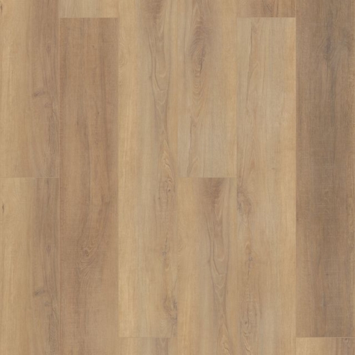 Coretec Canterbury Elm