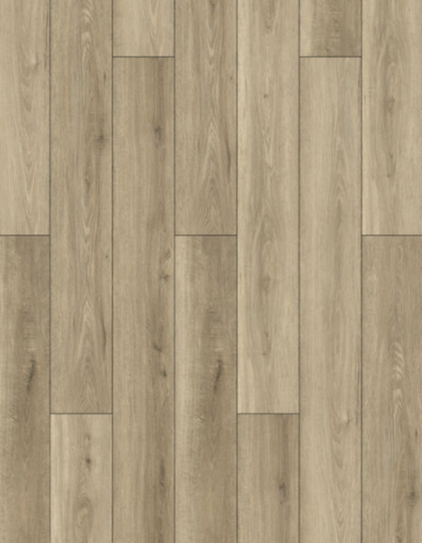 Lions Foor Bambino Dolce 7x48 LVP