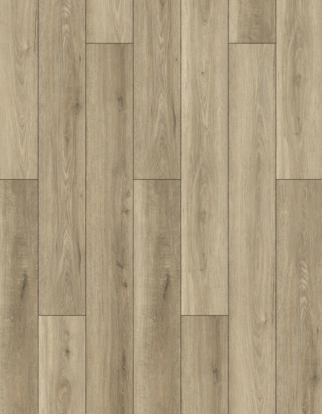 Lions Foor Bambino Dolce 7x48 LVP
