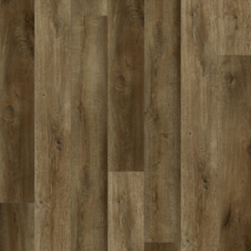 Lions Floor -Bambino Ganache LVP