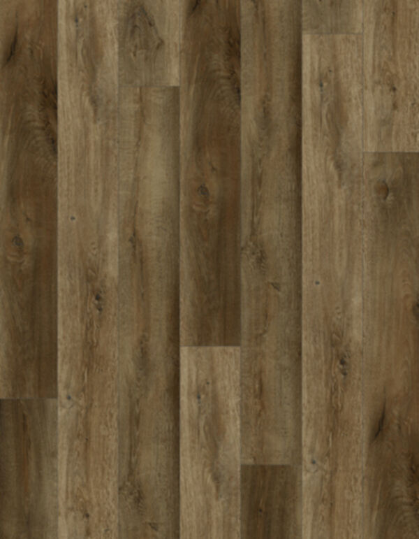Lions Floor -Bambino Ganache LVP
