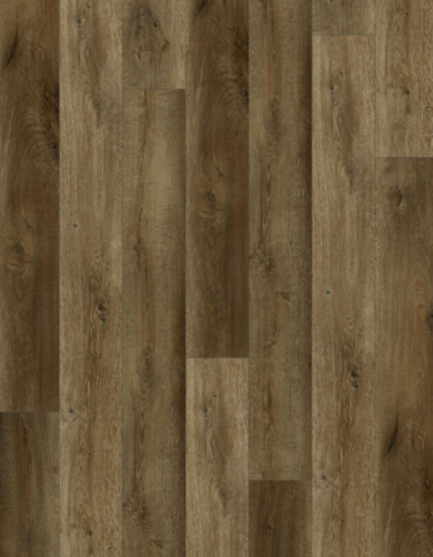 Lions Floor -Bambino Ganache LVP