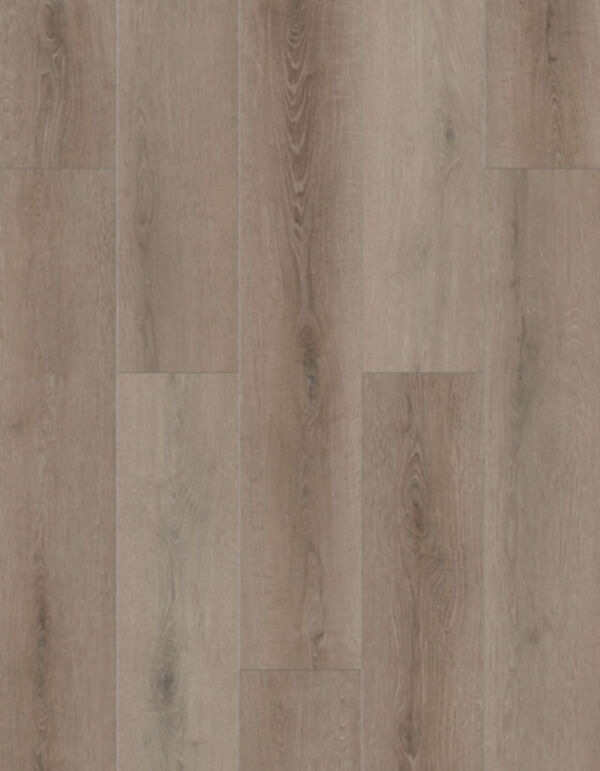 Lions Floor LVP- Bambino - Coffee Feather