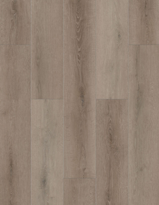 Lions Floor LVP- Bambino - Coffee Feather