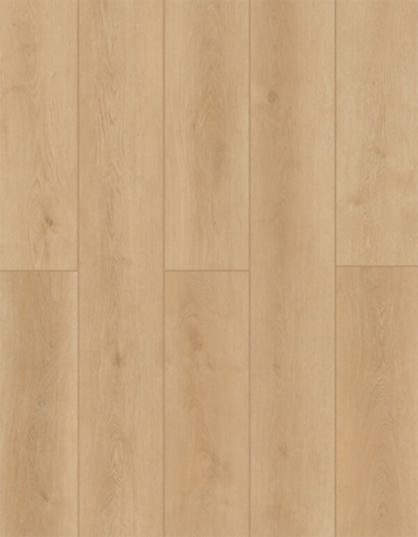 Lions Floor LVP- Indoor Delight - Country Breeze 9x72