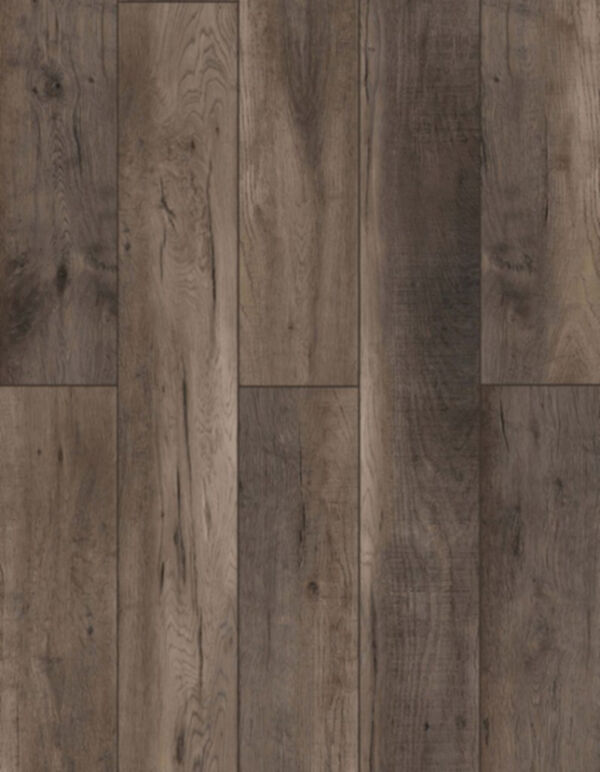 Lions Floor LVP- Bambino - Cliffside Oak