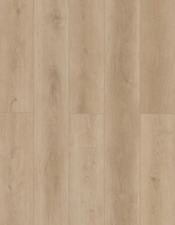 Lions Floor LVP- Indoor Delight - Castle Forge 9x72