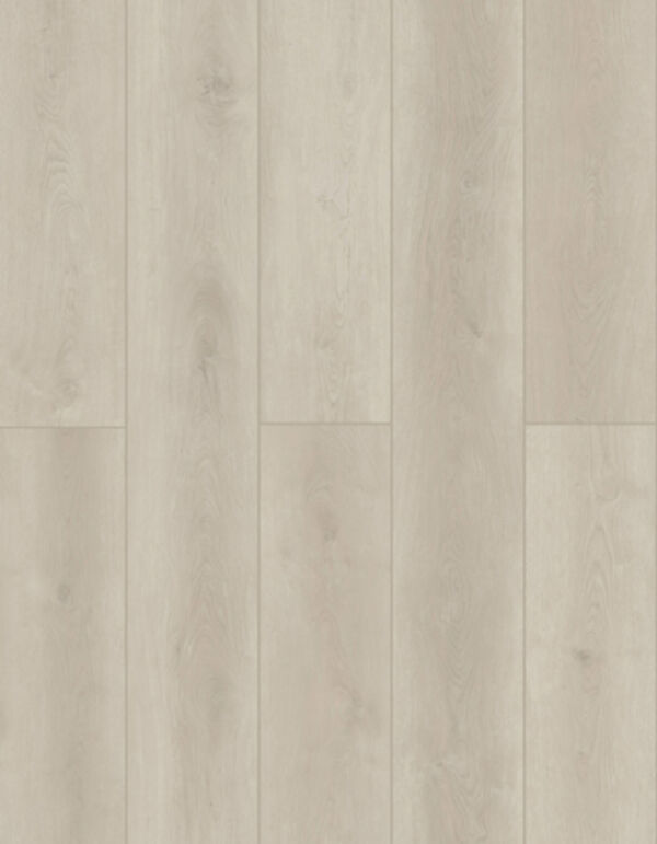 Lions Floor LVP- Indoor Delight - Ashen Land 9x72