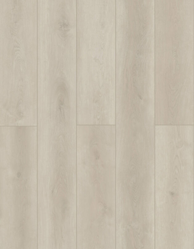 Lions Floor LVP- Indoor Delight - Ashen Land 9x72