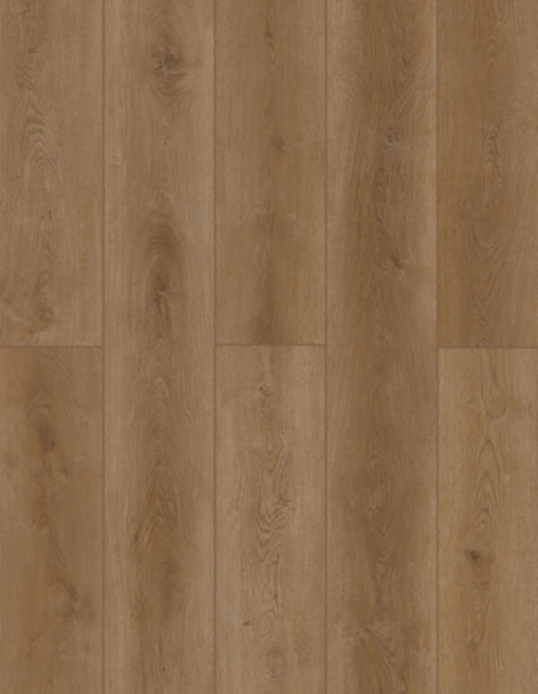 Lions Floor LVP- Indoor Delight - Fortress Dawn 9x72