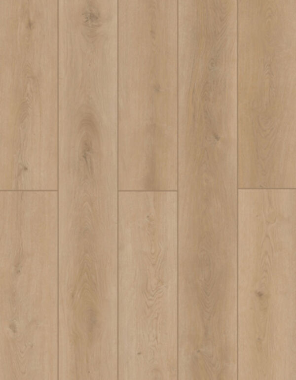Lions Floor LVP- Indoor Delight - Forest Timber 9x72