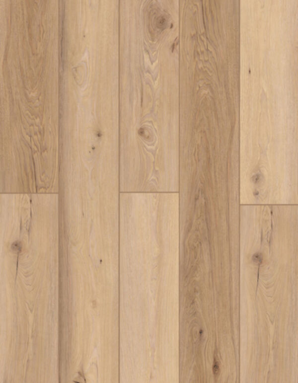 Lions Floor LVP- Indoor Delight - Homeland Waltz 9x72