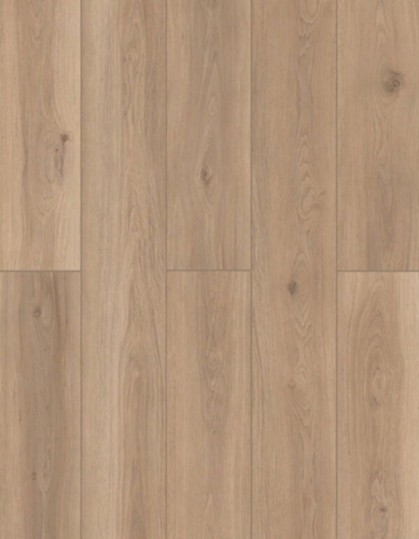 Lions Floor LVP- Lonestar Spirit XL - Artisan Touch