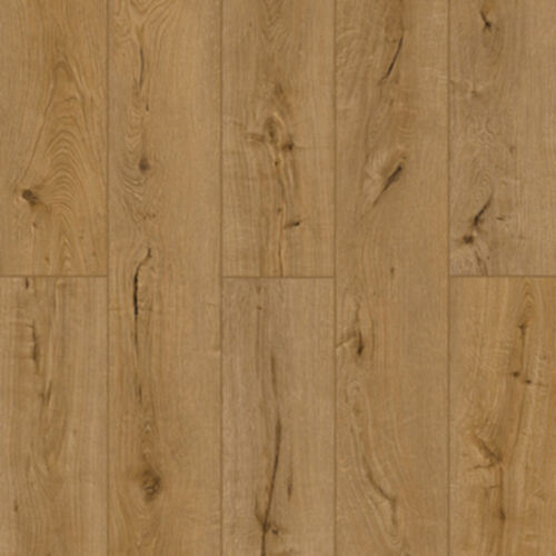 Lions Floor LVP- Lonestar Spirit XL - Oak Exotica