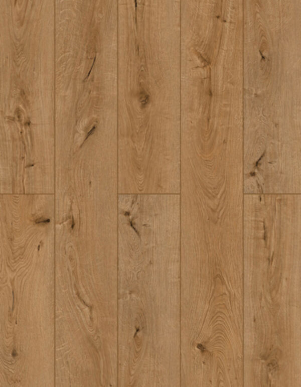 Lions Floor LVP- Lonestar Spirit XL - Oak Dry-Aged