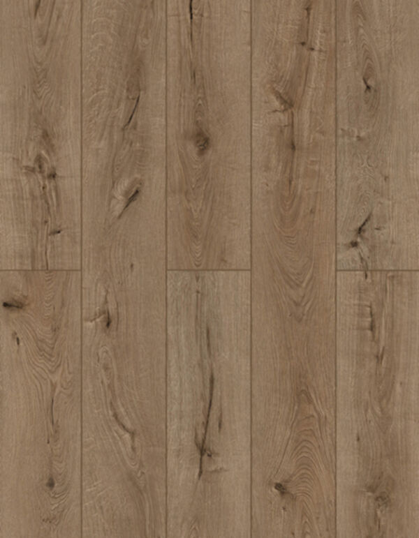 Lions Floor LVP- Lonestar Spirit XL - Forgotten Bark