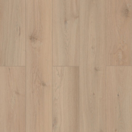 Lions Floor LVP- Lonestar Spirit XL - Sea Shell