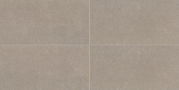Dal_astronomy_AT71_12x24_Orion