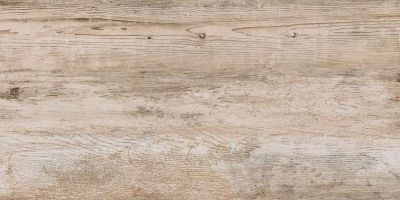 Dal Tile SW02 Seasonwood Winterspruce