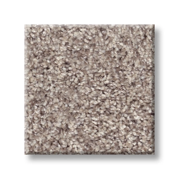 Shaw Floors: 5E788 Inlet Shore I - Carpet - Image 2