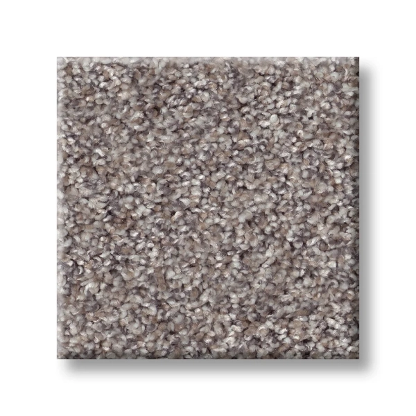 Shaw Floors: 5E788 Inlet Shore I - Carpet - Image 3