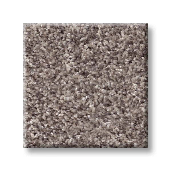 Shaw Floors: 5E788 Inlet Shore I - Carpet - Image 4